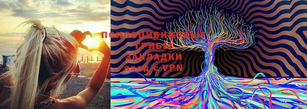 прущие крисы Нефтегорск