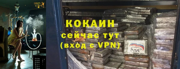 МДПВ Нея