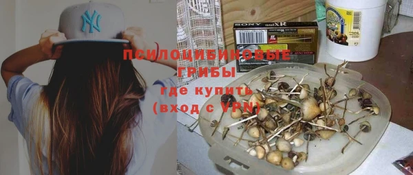 МДПВ Нея