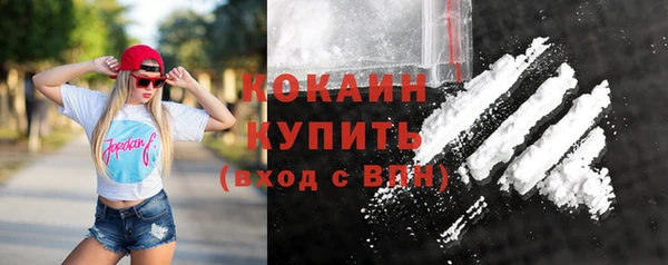 МДПВ Нея
