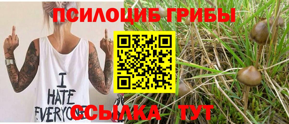 Астрахань  Галлюциногенные грибы GOLDEN TEACHER  Вход с VPN  Галлюциногенные грибы мухоморы 